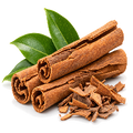 Cinnamon Bark